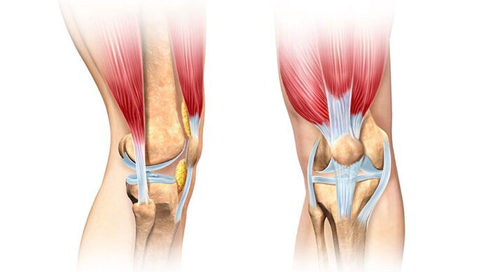 колінний суглоб та його лікування при болях